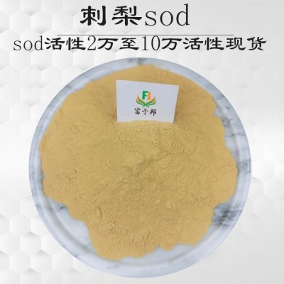 富予邦生物 刺梨提取物 刺梨SOD10万u/g VC17% 刺梨粉 另有SOD2万