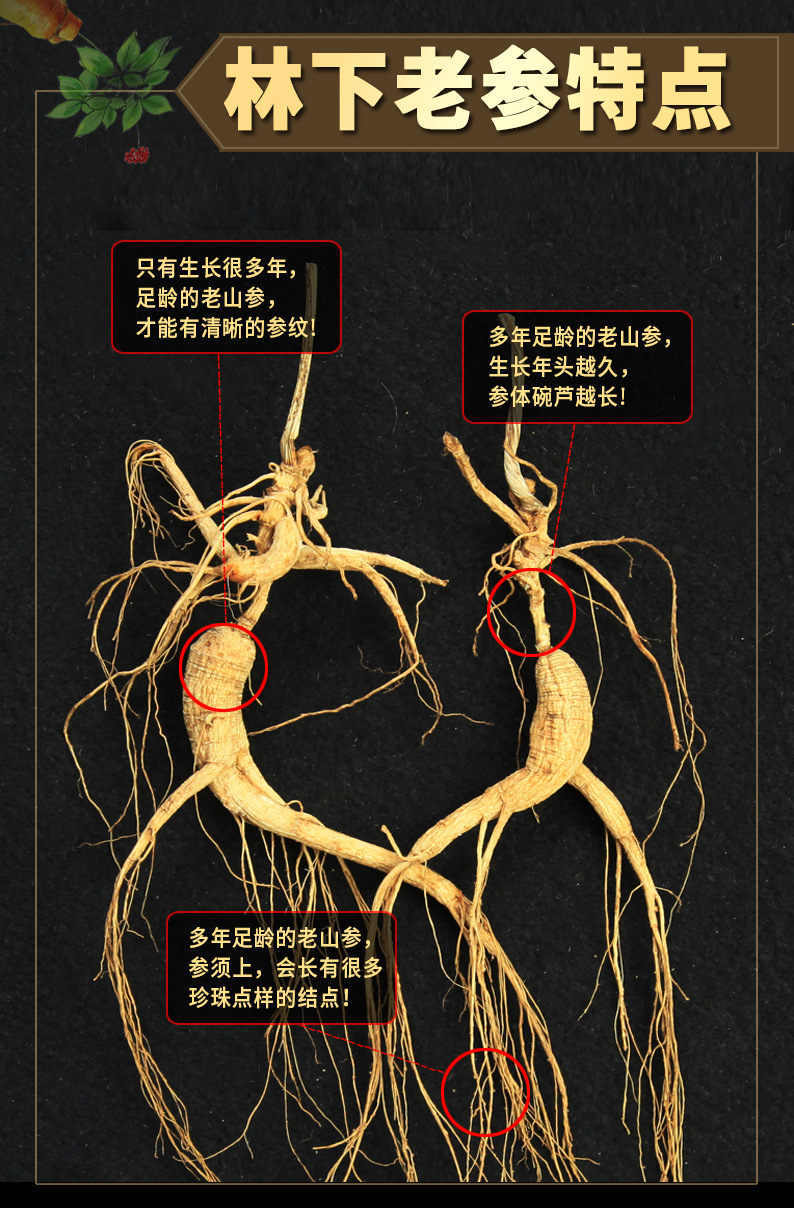 37林下参详情03.jpg