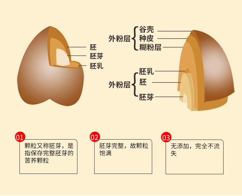 黑珍珠苦荞茶_04