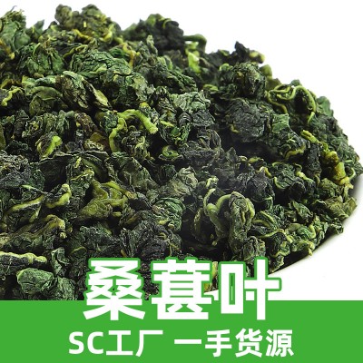 新货桑葚叶散装桑叶茶霜降桑树叶中药材新鲜桑叶炒制厂家直供批发