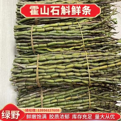 铁皮石斛鲜条 药食同源泡酒枫斗粉干石斛花茶新鲜石斛批发1斤