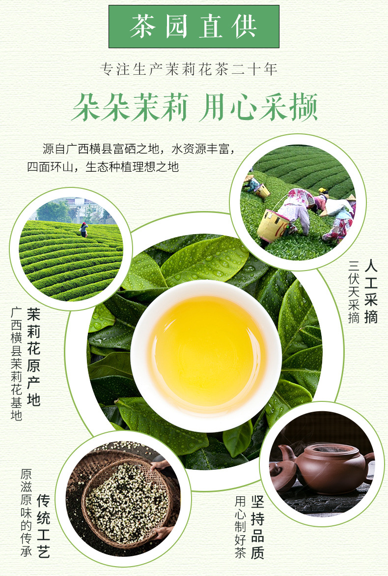 茉莉花茶详情页_12.jpg