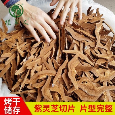 批发福建特产紫灵芝片500g 清香煲汤黑灵芝片 整枝椴木切片灵芝