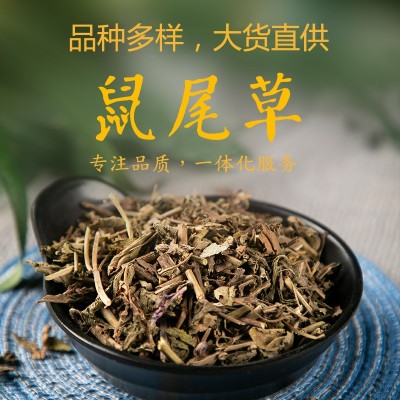 鼠尾草中药材大批量供应鼠尾草工厂专售鼠尾草碎批发鼠尾草中草药