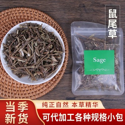 鼠尾草中药材 袋装鼠尾草鼠尾碎工厂专售 批发鼠尾草碎中药材