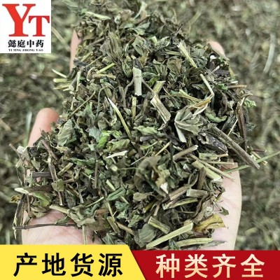 薄荷 中药材 薄荷新货 中药材批发薄荷