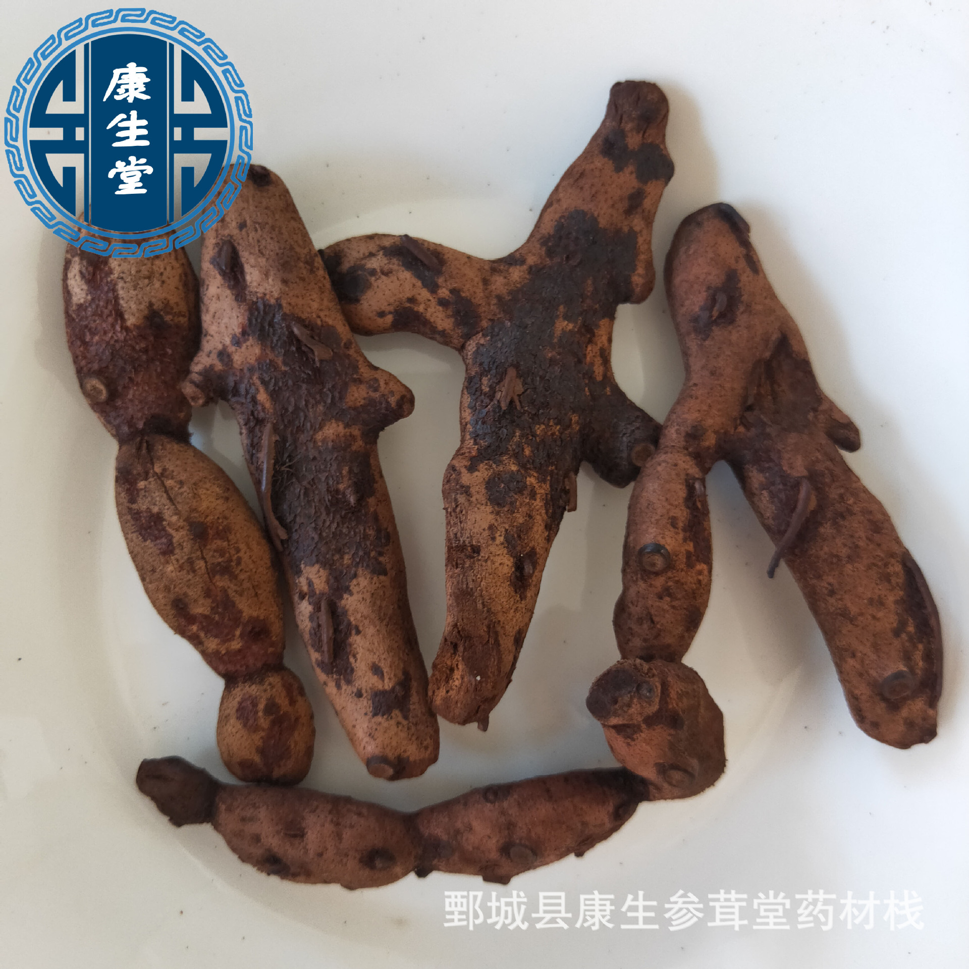 骨碎补66