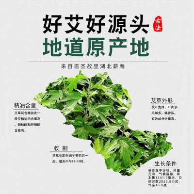 厂家批发蕲春陈艾条纯艾草叶艾灸用艾柱盒装手工艾灸柱条现货