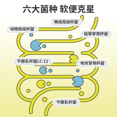 宠物益生菌狗狗猫咪专用幼猫宠物调理肠胃宝便秘呕吐助消化益生菌