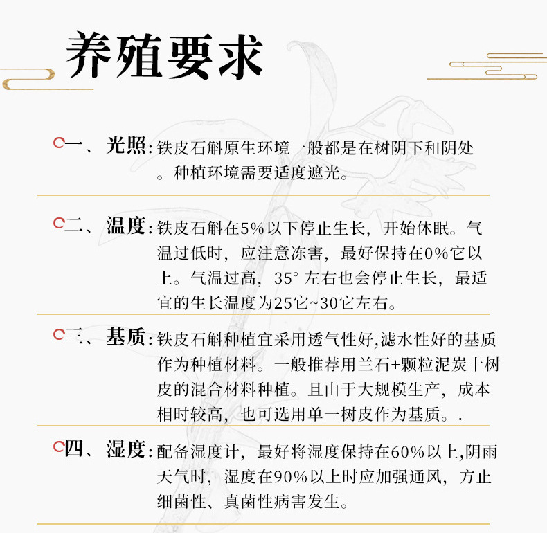 铁皮石斛盆栽_12.jpg